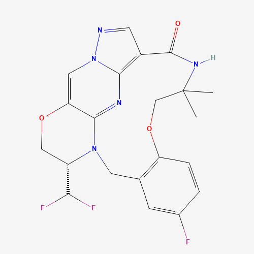 TPX-0131