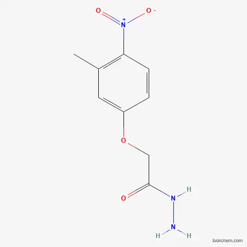 Molecular Structure of 588679-98-5 (2-(3-Methyl-4-nitrophenoxy)acetohydrazide)