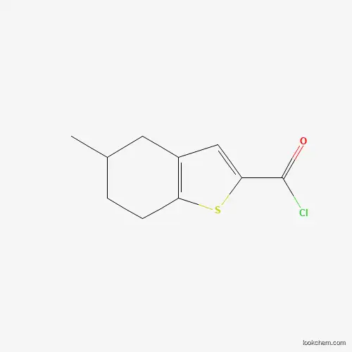 5-메틸-4,5,6,7-테트라히드로-벤조[B]티오펜-2-카르보닐 클로라이드