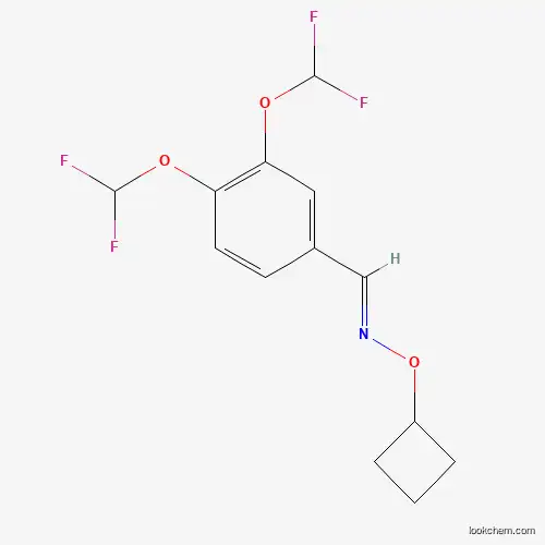 3,4-Bis-difluoromethoxy-benzaldehyde O-cyclobutyl-oxime
