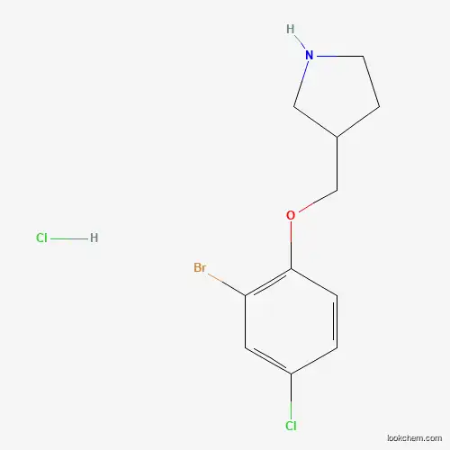 Molecular Structure of 1219971-77-3 (3-[(2-Bromo-4-chlorophenoxy)methyl]pyrrolidine hydrochloride)