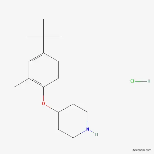 Molecular Structure of 1219971-88-6 (4-[4-(tert-Butyl)-2-methylphenoxy]piperidine hydrochloride)