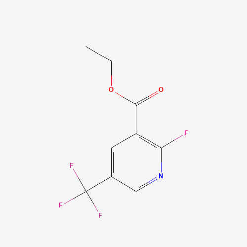 Ethyl 2-fluoro-5-(trifluoromethyl)nicotinate