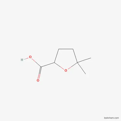 5,5-DIMETHYLOXOLANE-2-CARBOXYLIC ACID