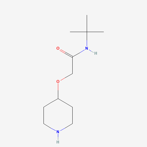 N-TERT-BUTYL-2-(PIPERIDIN-4-YLOXY)-ACETAMIDE