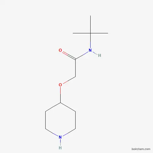Molecular Structure of 912761-67-2 (N-tert-butyl-2-(4-piperidinyloxy)acetamide)