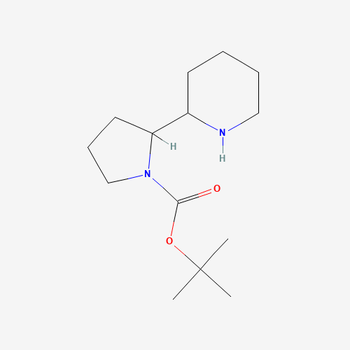 tert-Butyl 2-(piperidin-2-yl)-pyrrolidine-1-carboxylate