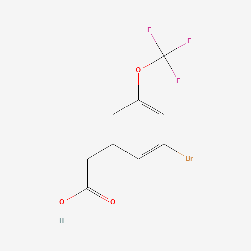 3-BroMo-5-(trifluoroMethoxy)-phenylacetic acid cas no. 1092461-35-2 98%