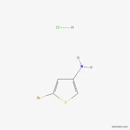 5-Bromothiophen-3-amine?hydrochloride