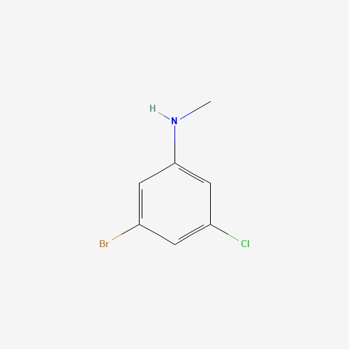 (3-Bromo-5-chloro-phenyl)-methyl-amine