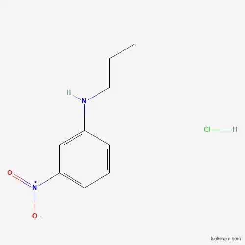 Molecular Structure of 1201633-51-3 ((3-Nitrophenyl)propylamine hydrochloride)