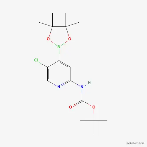 2-(TERTBUTYLOXYCARBONYLAMINO)-5-클로로피리딘-4-붕소산 피나콜 에스테르