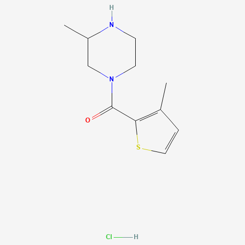 (3-Methylpiperazin-1-yl)(3-methylthiophen-2-yl)methanone hydrochloride