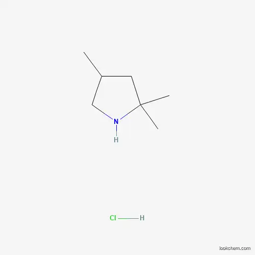 2,2,4-Trimethylpyrrolidine hydrochloride