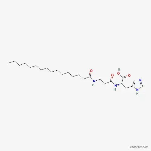 Molecular Structure of 324755-72-8 (Palmitoyl carnosine)