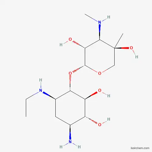 Etimicin Impurity 1