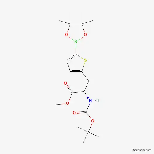 (S)-METHYL 2-(BOC-AMINO)-3-(5-(4,4,5,5-TETRAMETHYL-1,3,2-DIOXABOROLAN-2-YL)THIOPHEN-2-YL)PROPANOATECAS