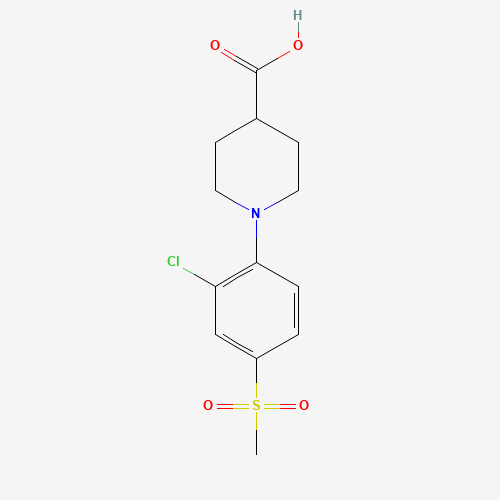 1-[2-CHLORO-4-(METHYLSULFONYL)PHENYL]PIPERIDINE-4-CARBOXYLIC ACID