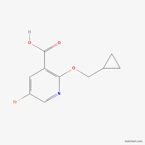 5-브로모-2-(사이클로프로필메톡시)니코틴산