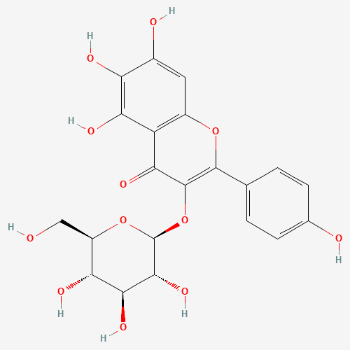 6-Hydroxykaempferol 3-O-β-D-glucoside