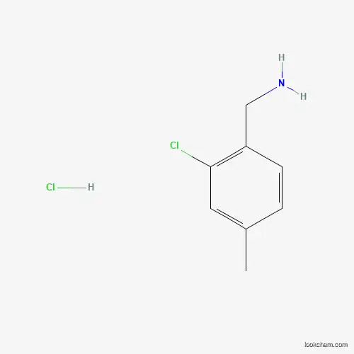 Molecular Structure of 202522-25-6 (2-Chloro-4-methylbenzylamine hydrochloride)