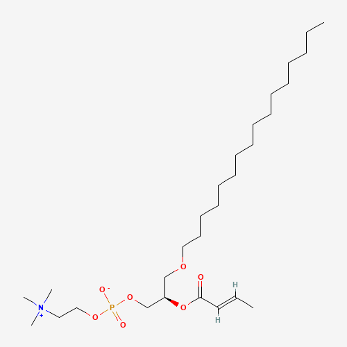 1-O-HEXADECYL-2-BUTENOYL-SN-GLYCERO-3-PHOSPHOCHOLINE