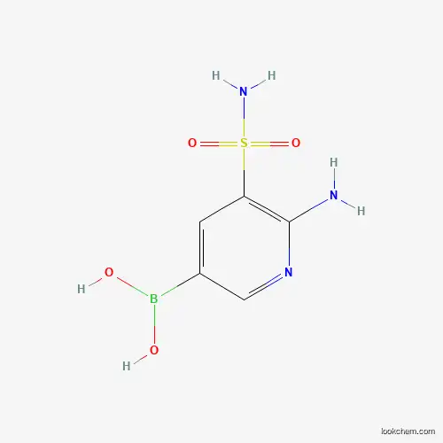 6-AMINO-5-SULFAMOYLPYRIDIN-3-YLBORONIC ACID