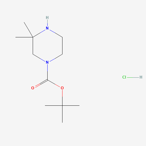tert-Butyl 3,3-dimethylpiperazine-1-carboxylate hydrochloride