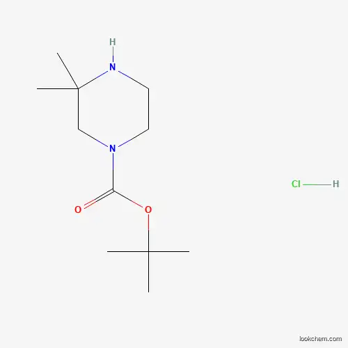 Molecular Structure of 1187931-03-8 (tert-Butyl 3,3-dimethylpiperazine-1-carboxylate hydrochloride)