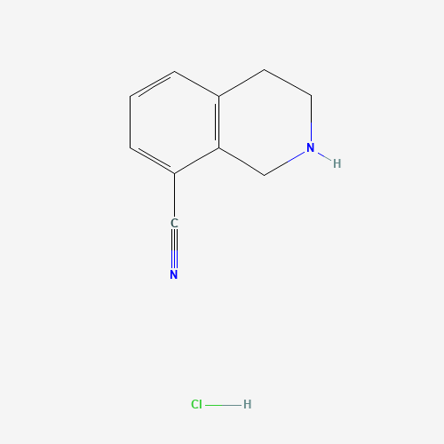 1,2,3,4-tetrahydroisoquinoline-8-carbonitrile HCl