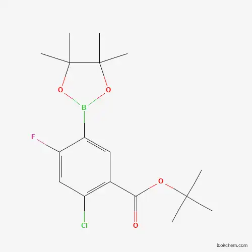 5-(t-Butoxycarbonyl)-4-chloro-2-fluorophenylboronic acid pinacol ester