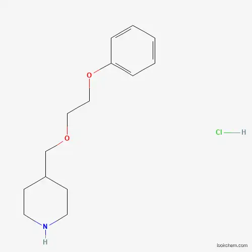 Molecular Structure of 1220036-83-8 (4-[(2-Phenoxyethoxy)methyl]piperidine hydrochloride)