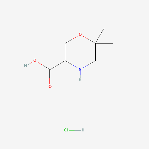 6,6-Dimethyl-morpholine-3-carboxylic acid hydrochloride(1255098-60-2)