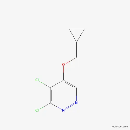 Molecular Structure of 1346698-15-4 (3,4-Dichloro-5-(cyclopropylmethoxy)pyridazine)