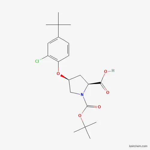 Molecular Structure of 1354486-72-8 ((2S,4S)-1-(tert-Butoxycarbonyl)-4-[4-(tert-butyl)-2-chlorophenoxy]-2-pyrrolidinecarboxylic acid)
