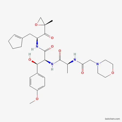 Zetomipzomib