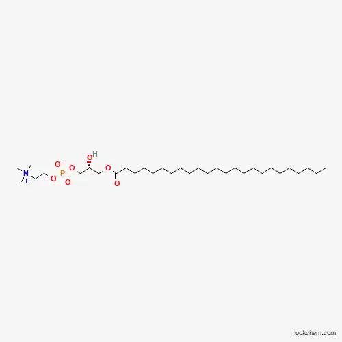 Molecular Structure of 325171-59-3 (1-Tetracosanoyl-sn-glycero-3-phosphocholine)