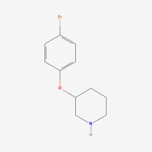 3-(4-BROMOPHENOXY)PIPERIDINE