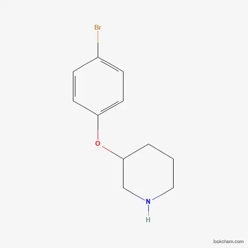 Molecular Structure of 946714-44-9 (3-(4-Bromophenoxy)piperidine)