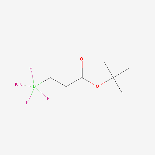 PotassiuM 3-trifluoroboratopropanoate tert-butyl ester