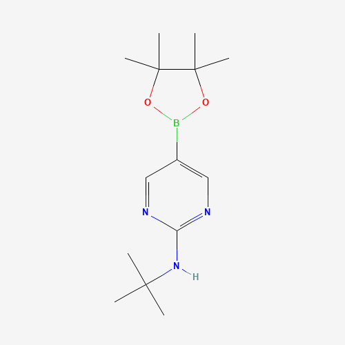 2-t-Butylaminopyrimidine-5-boronic acid,pinacol ester