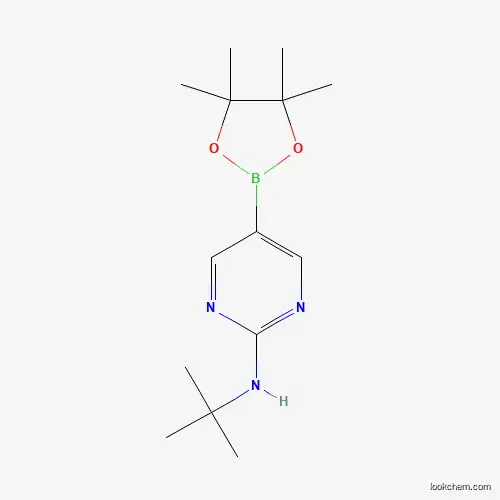 Molecular Structure of 1218791-43-5 (N-(tert-Butyl)-5-(4,4,5,5-tetramethyl-1,3,2-dioxaborolan-2-yl)pyrimidin-2-amine)