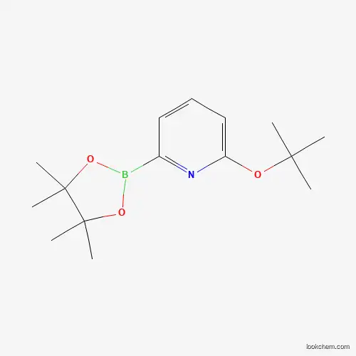 6-(TERT-BUTOXY)피리딘-2-보론산 피나콜 에스테르
