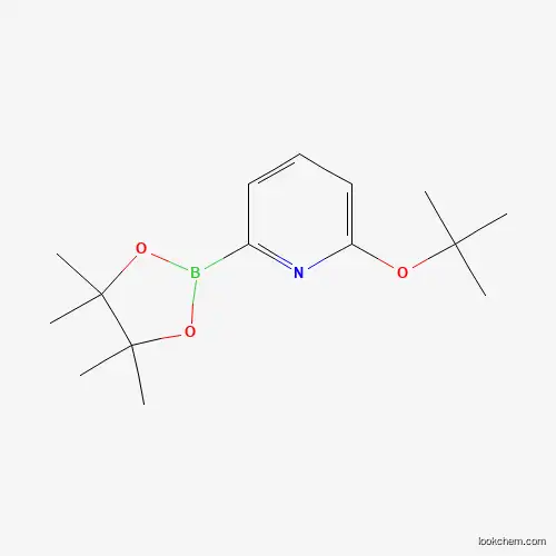 2-[(2-methylpropan-2-yl)oxy]-6-(4,4,5,5-tetramethyl-1,3,2-dioxaborolan-2-yl)pyridine