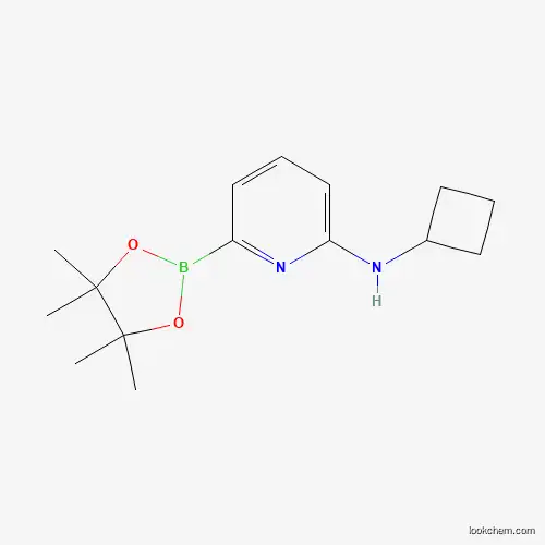 6-(CYCLOBUTYLAMINO)피리딘-2-붕소산 피나콜 에스테르