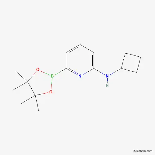 N-Cyclobutyl-6-(4,4,5,5-tetramethyl-1,3,2-dioxaborolan-2-yl)pyridin-2-amine