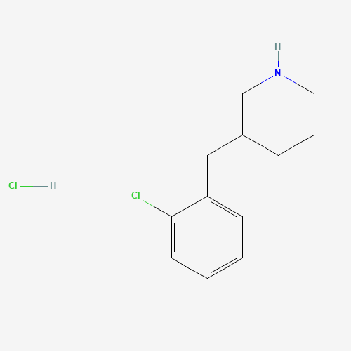 3-(2-CHLOROBENZYL)PIPERIDINE HYDROCHLORIDE