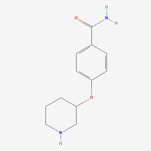 4-(PIPERIDIN-3-YLOXY)-BENZAMIDECAS