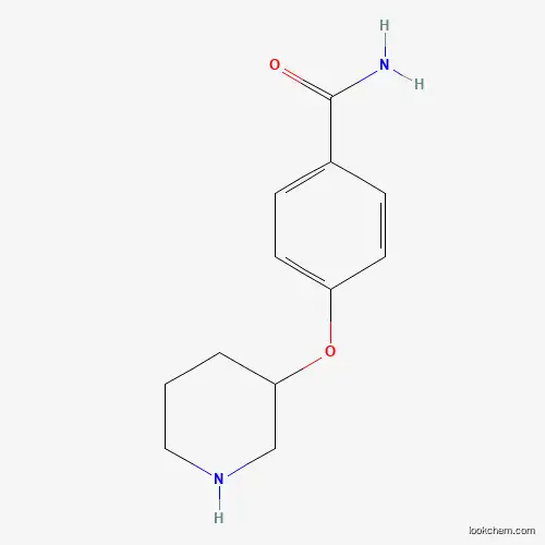 Molecular Structure of 912761-79-6 (4-(3-Piperidinyloxy)benzamide)