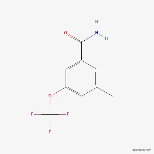 3-METHYL-5-(TRIFLUOROMETHOXY)BENZAMIDE